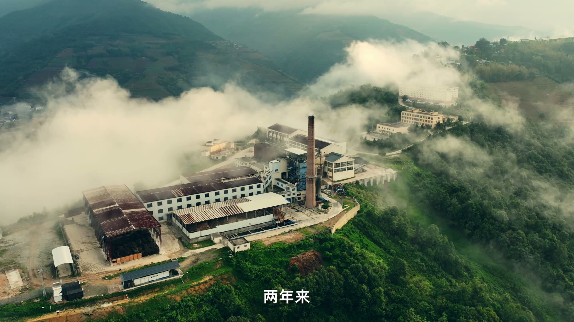 一粒糖的奋进之路封面
