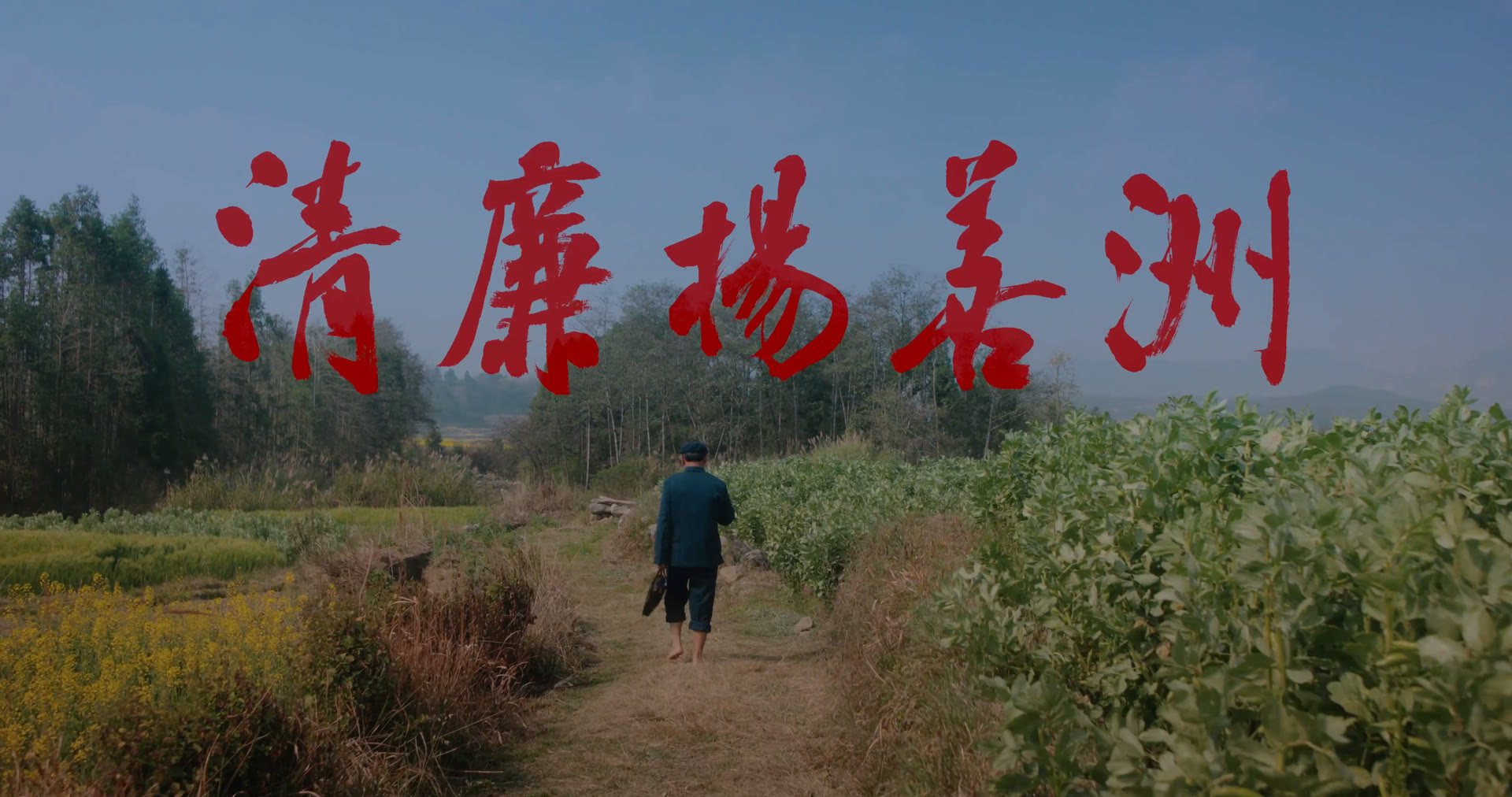 清廉杨善洲封面
